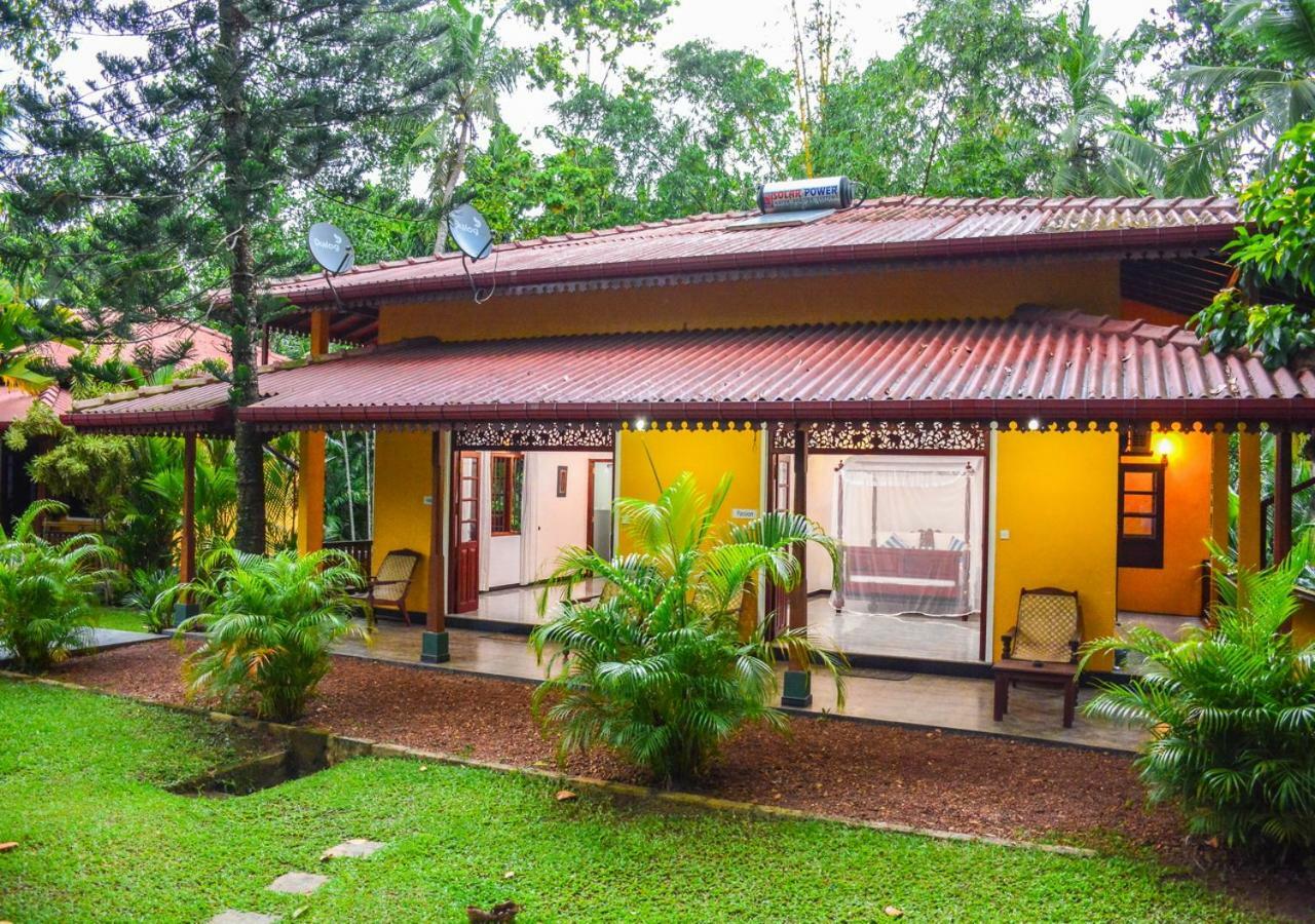 Araliya Gardens Hotel Hikkaduwa Bagian luar foto