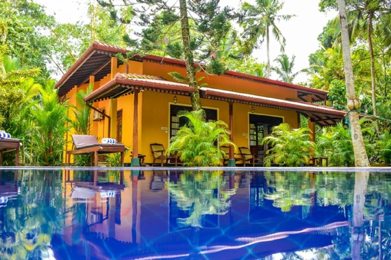 Araliya Gardens Hotel Hikkaduwa Bagian luar foto